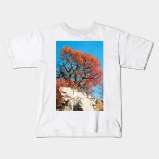 Autumn Colours in the Carso Kids T-Shirt